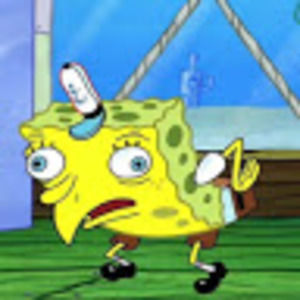 Meet your Posher, Tallie